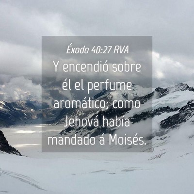 Picture 04 - Éxodo 40:27 RVA - Y encendió sobre él el perfume aromático; como - Bible Verse Picture