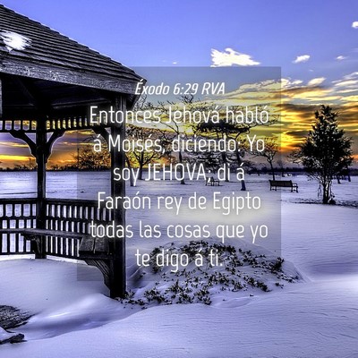 Picture 04 - Éxodo 6:29 RVA - Entonces Jehová habló á Moisés, diciendo: Yo - Bible Verse Picture