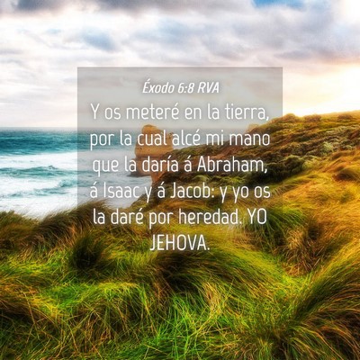 Picture 04 - Éxodo 6:8 RVA - Y os meteré en la tierra, por la cual alcé mi - Bible Verse Picture