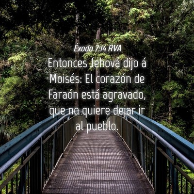 Picture 04 - Éxodo 7:14 RVA - Entonces Jehová dijo á Moisés: El corazón de - Bible Verse Picture