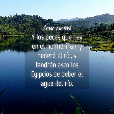 Picture 04 - Éxodo 7:18 RVA - Y los peces que hay en el río morirán, y - Bible Verse Picture
