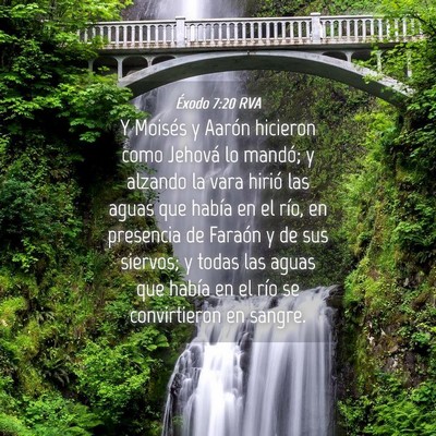Picture 04 - Éxodo 7:20 RVA - Y Moisés y Aarón hicieron como Jehová lo - Bible Verse Picture