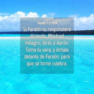 Picture 04 - Éxodo 7:9 RVA - Si Faraón os respondiere diciendo, Mostrad - Bible Verse Picture