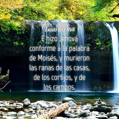 Picture 04 - Éxodo 8:13 RVA - E hizo Jehová conforme á la palabra de Moisés, - Bible Verse Picture