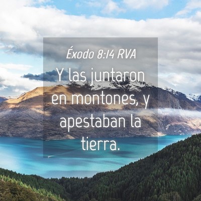 Picture 04 - Éxodo 8:14 RVA - Y las juntaron en montones, y apestaban la - Bible Verse Picture