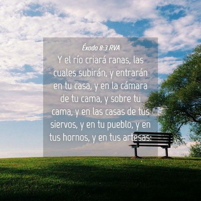 Picture 04 - Éxodo 8:3 RVA - Y el río criará ranas, las cuales subirán, y - Bible Verse Picture