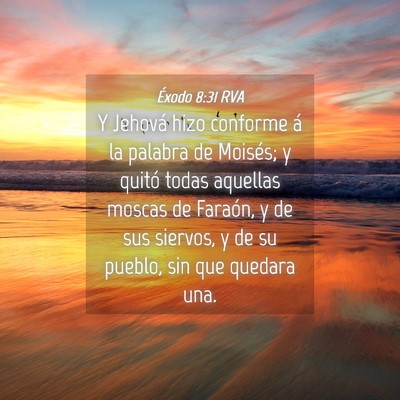 Picture 04 - Éxodo 8:31 RVA - Y Jehová hizo conforme á la palabra de Moisés; - Bible Verse Picture