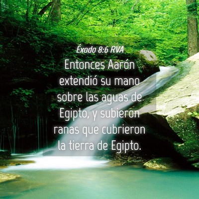 Picture 04 - Éxodo 8:6 RVA - Entonces Aarón extendió su mano sobre las aguas - Bible Verse Picture