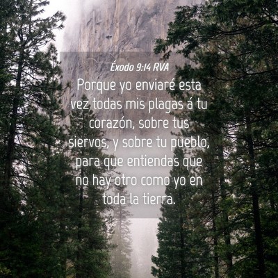 Picture 04 - Éxodo 9:14 RVA - Porque yo enviaré esta vez todas mis plagas á - Bible Verse Picture