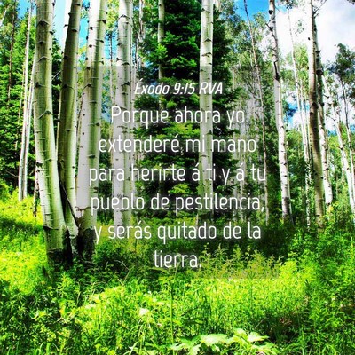 Picture 04 - Éxodo 9:15 RVA - Porque ahora yo extenderé mi mano para herirte - Bible Verse Picture