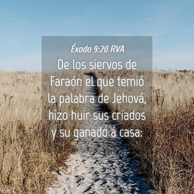 Picture 04 - Éxodo 9:20 RVA - De los siervos de Faraón el que temió la - Bible Verse Picture