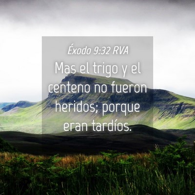 Picture 04 - Éxodo 9:32 RVA - Mas el trigo y el centeno no fueron heridos; - Bible Verse Picture