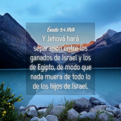 Picture 04 - Éxodo 9:4 RVA - Y Jehová hará separación entre los ganados de - Bible Verse Picture