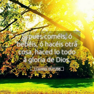 Picture 05 - 1 Corintios 10:31 RVA - Si pues coméis, ó bebéis, ó hacéis otra - Bible Verse Picture