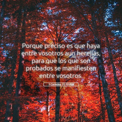 Picture 05 - 1 Corintios 11:19 RVA - Porque preciso es que haya entre vosotros aun - Bible Verse Picture