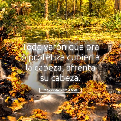 Picture 05 - 1 Corintios 11:4 RVA - Todo varón que ora ó profetiza cubierta la - Bible Verse Picture