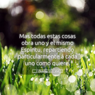 Picture 05 - 1 Corintios 12:11 RVA - Mas todas estas cosas obra uno y el mismo - Bible Verse Picture