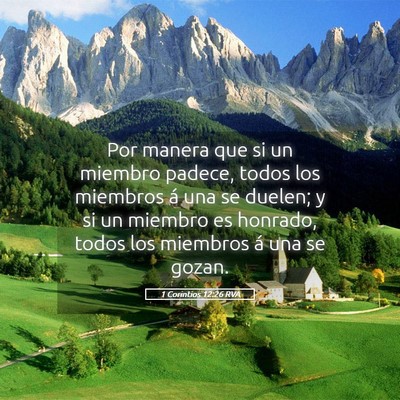 Picture 05 - 1 Corintios 12:26 RVA - Por manera que si un miembro padece, todos los - Bible Verse Picture