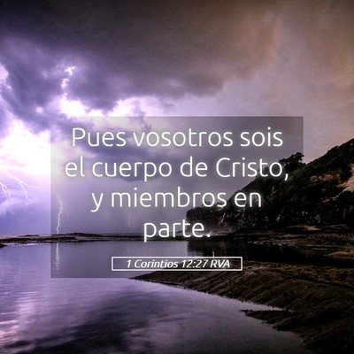 Picture 05 - 1 Corintios 12:27 RVA - Pues vosotros sois el cuerpo de Cristo, y - Bible Verse Picture