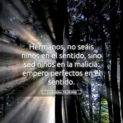 Picture 05 - 1 Corintios 14:20 RVA - Hermanos, no seáis niños en el sentido, sino - Bible Verse Picture
