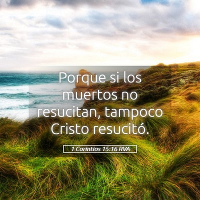 Picture 05 - 1 Corintios 15:16 RVA - Porque si los muertos no resucitan, tampoco - Bible Verse Picture
