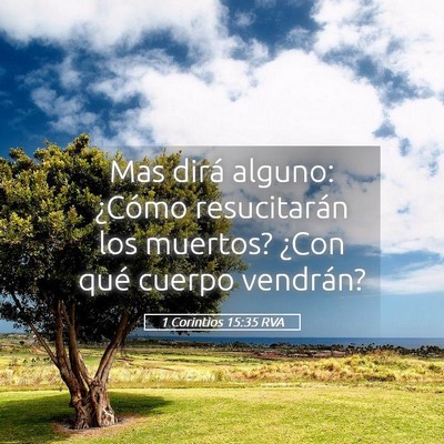 Picture 05 - 1 Corintios 15:35 RVA - Mas dirá alguno: ¿Cómo resucitarán los - Bible Verse Picture