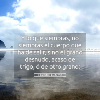Picture 05 - 1 Corintios 15:37 RVA - Y lo que siembras, no siembras el cuerpo que ha - Bible Verse Picture