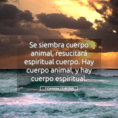 Picture 05 - 1 Corintios 15:44 RVA - Se siembra cuerpo animal, resucitará espiritual - Bible Verse Picture