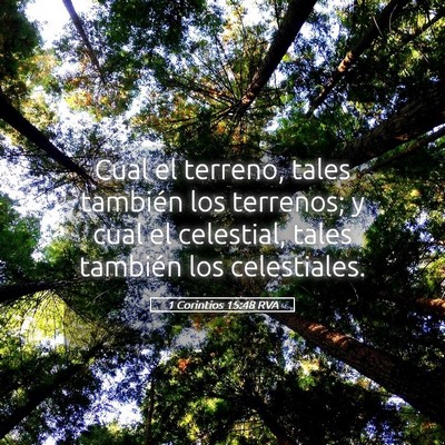Picture 05 - 1 Corintios 15:48 RVA - Cual el terreno, tales también los terrenos; y - Bible Verse Picture