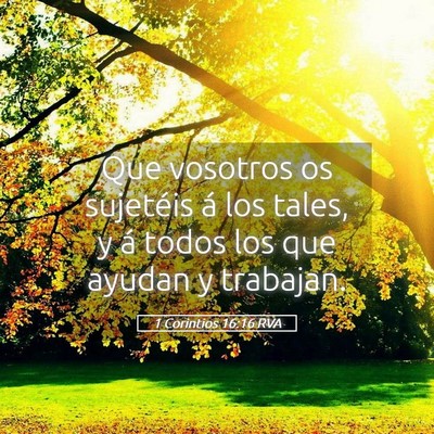 Picture 05 - 1 Corintios 16:16 RVA - Que vosotros os sujetéis á los tales, y á - Bible Verse Picture