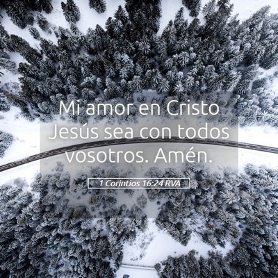 Picture 05 - 1 Corintios 16:24 RVA - Mi amor en Cristo Jesús sea con todos vosotros. - Bible Verse Picture