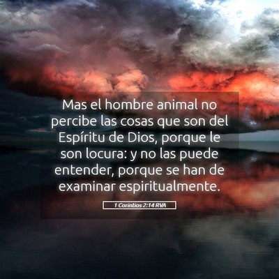 Picture 05 - 1 Corintios 2:14 RVA - Mas el hombre animal no percibe las cosas que son - Bible Verse Picture