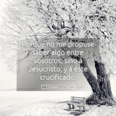 Picture 05 - 1 Corintios 2:2 RVA - Porque no me propuse saber algo entre vosotros, - Bible Verse Picture