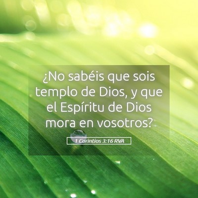 Picture 05 - 1 Corintios 3:16 RVA - ¿No sabéis que sois templo de Dios, y que el - Bible Verse Picture
