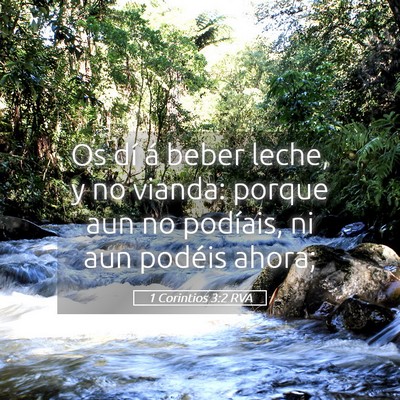 Picture 05 - 1 Corintios 3:2 RVA - Os dí á beber leche, y no vianda: porque aun no - Bible Verse Picture