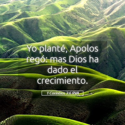 Picture 05 - 1 Corintios 3:6 RVA - Yo planté, Apolos regó: mas Dios ha dado el - Bible Verse Picture