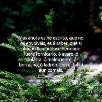 Picture 05 - 1 Corintios 5:11 RVA - Mas ahora os he escrito, que no os envolváis, es - Bible Verse Picture
