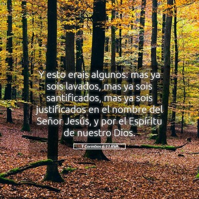Picture 05 - 1 Corintios 6:11 RVA - Y esto erais algunos: mas ya sois lavados, mas ya - Bible Verse Picture