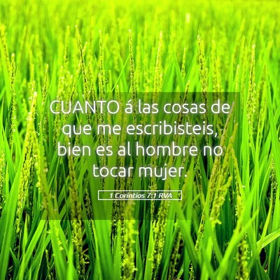 Picture 05 - 1 Corintios 7:1 RVA - CUANTO á las cosas de que me escribisteis, bien - Bible Verse Picture