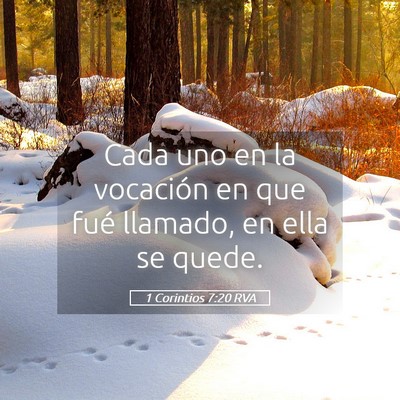 Picture 05 - 1 Corintios 7:20 RVA - Cada uno en la vocación en que fué llamado, en - Bible Verse Picture