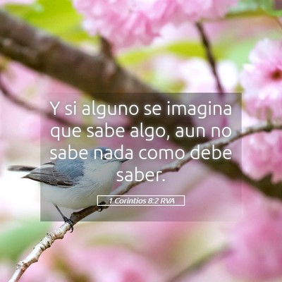 Picture 05 - 1 Corintios 8:2 RVA - Y si alguno se imagina que sabe algo, aun no sabe - Bible Verse Picture