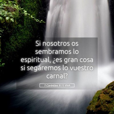 Picture 05 - 1 Corintios 9:11 RVA - Si nosotros os sembramos lo espiritual, ¿es gran - Bible Verse Picture