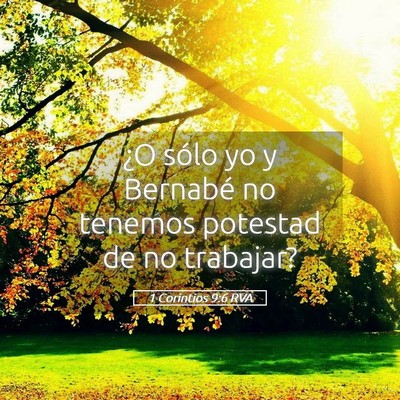 Picture 05 - 1 Corintios 9:6 RVA - ¿O sólo yo y Bernabé no tenemos potestad de no - Bible Verse Picture