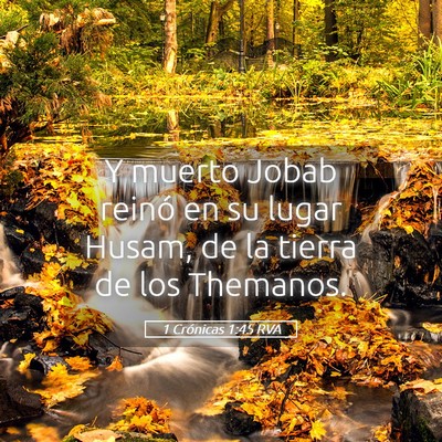 Picture 05 - 1 Crónicas 1:45 RVA - Y muerto Jobab reinó en su lugar Husam, de la - Bible Verse Picture