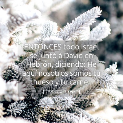 Picture 05 - 1 Crónicas 11:1 RVA - ENTONCES todo Israel se juntó á David en - Bible Verse Picture