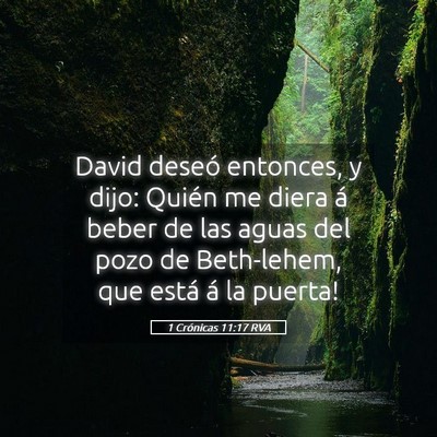 Picture 05 - 1 Crónicas 11:17 RVA - David deseó entonces, y dijo: ­Quién me diera - Bible Verse Picture
