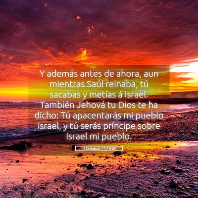 Picture 05 - 1 Crónicas 11:2 RVA - Y además antes de ahora, aun mientras Saúl - Bible Verse Picture