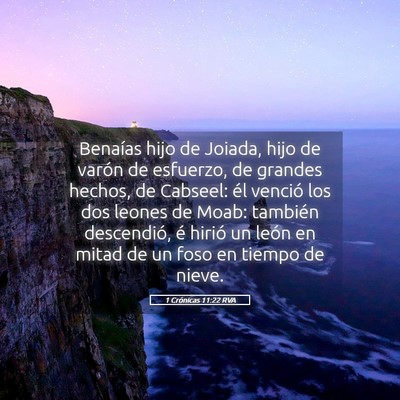 Picture 05 - 1 Crónicas 11:22 RVA - Benaías hijo de Joiada, hijo de varón de - Bible Verse Picture