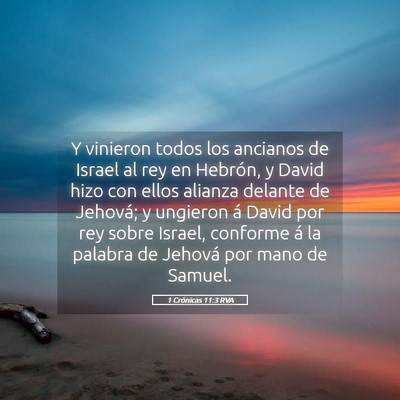 Picture 05 - 1 Crónicas 11:3 RVA - Y vinieron todos los ancianos de Israel al rey en - Bible Verse Picture