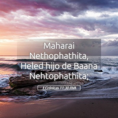 Picture 05 - 1 Crónicas 11:30 RVA - Maharai Nethophathita, Heled hijo de Baana - Bible Verse Picture